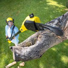 Lawn Maintenance Plans in Lindon, UT